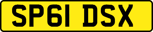 SP61DSX
