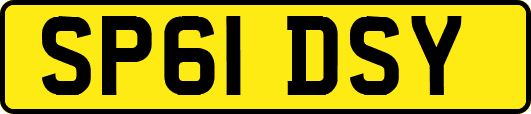 SP61DSY