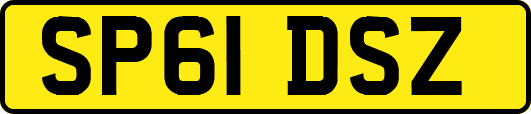 SP61DSZ