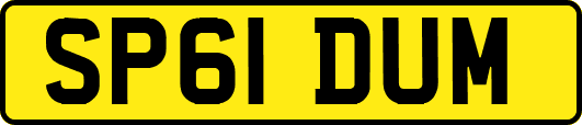 SP61DUM