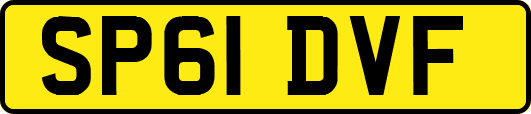 SP61DVF