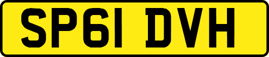 SP61DVH