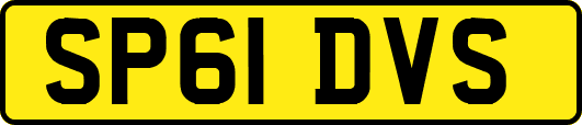 SP61DVS