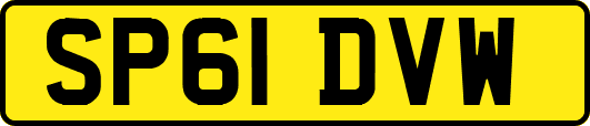 SP61DVW