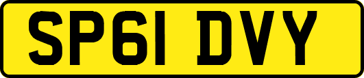 SP61DVY