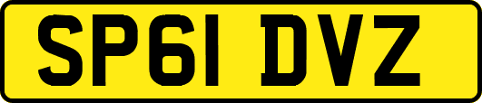 SP61DVZ