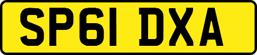 SP61DXA
