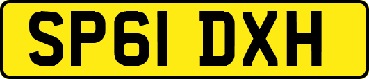 SP61DXH