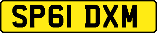 SP61DXM