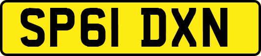 SP61DXN