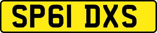 SP61DXS