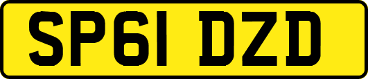 SP61DZD