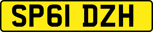 SP61DZH