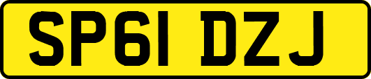 SP61DZJ