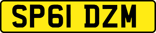SP61DZM