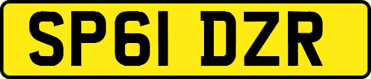 SP61DZR
