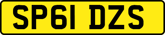 SP61DZS