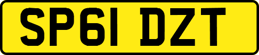 SP61DZT