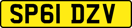 SP61DZV