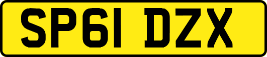 SP61DZX
