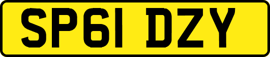SP61DZY
