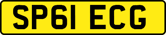SP61ECG