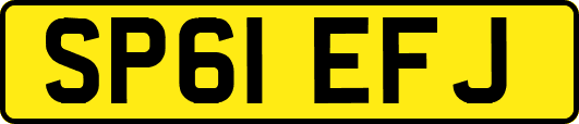 SP61EFJ