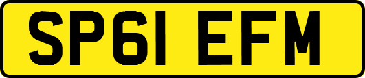 SP61EFM