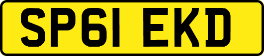SP61EKD