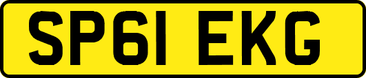 SP61EKG
