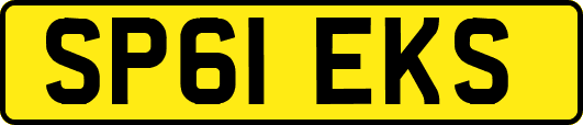 SP61EKS