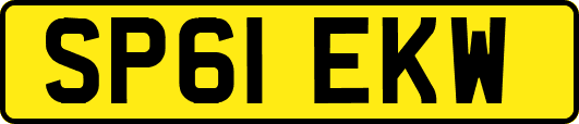 SP61EKW