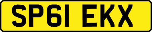 SP61EKX