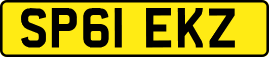 SP61EKZ