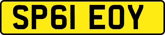 SP61EOY