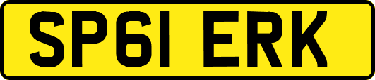 SP61ERK