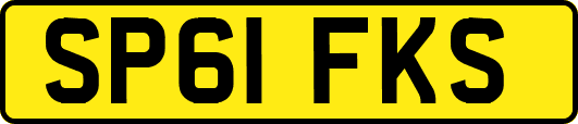 SP61FKS