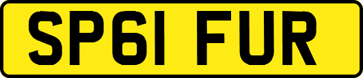 SP61FUR