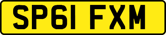 SP61FXM