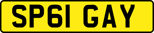 SP61GAY