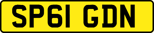 SP61GDN