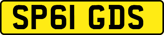 SP61GDS