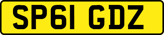 SP61GDZ