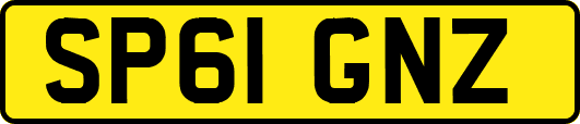 SP61GNZ