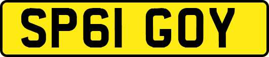 SP61GOY