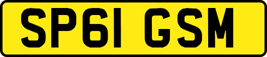 SP61GSM