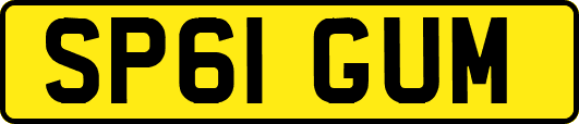 SP61GUM