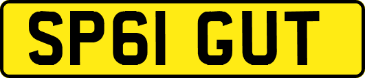 SP61GUT