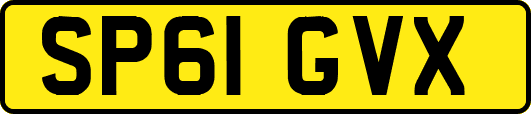 SP61GVX