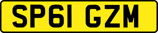 SP61GZM